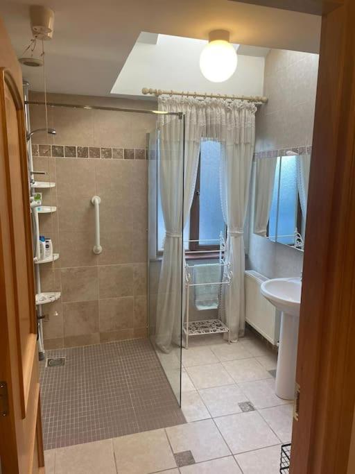 Borodino Studio Apartment Enniscorthy Extérieur photo